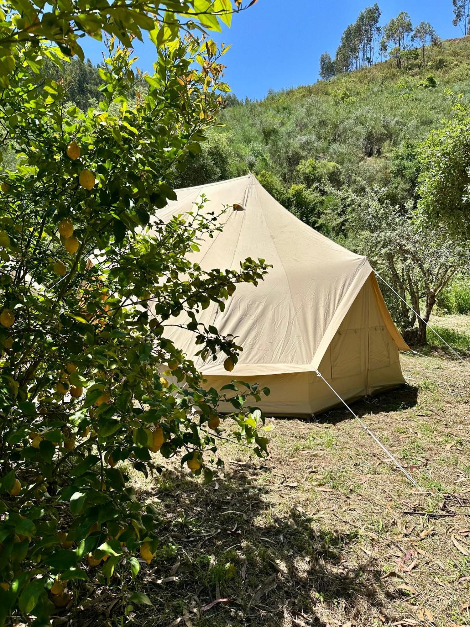 Giant Canvas Rental Tent Agro-Turismo Quinta Da Fonte 菲盖罗杜什维纽什 外观 照片