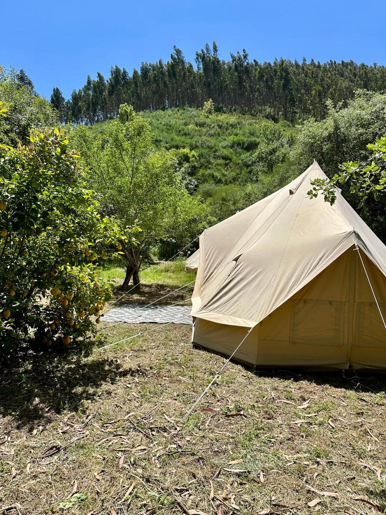 Giant Canvas Rental Tent Agro-Turismo Quinta Da Fonte 菲盖罗杜什维纽什 外观 照片