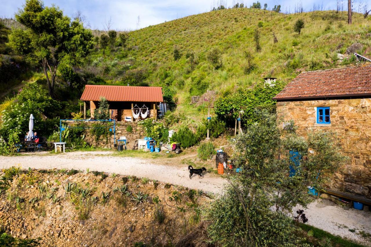 Giant Canvas Rental Tent Agro-Turismo Quinta Da Fonte 菲盖罗杜什维纽什 外观 照片